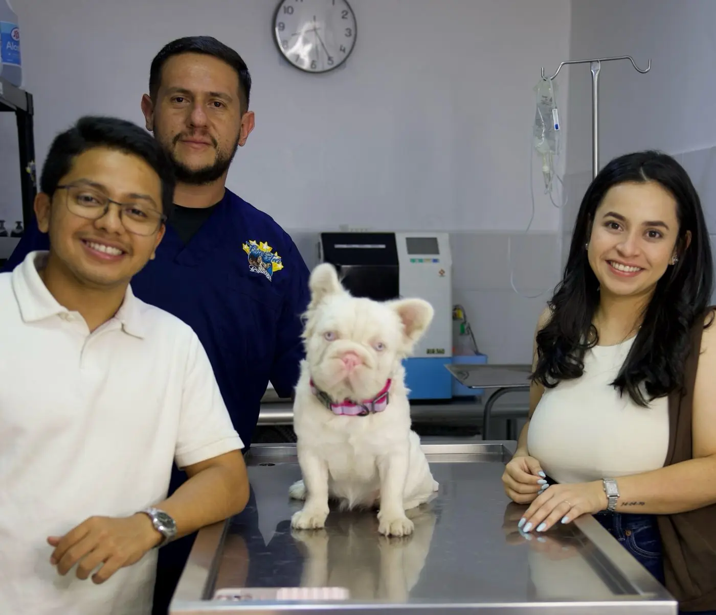 Athena sobre una mesa de exploración veterinaria, junto a parte del equipo de Exotic Bulldogs Honduras