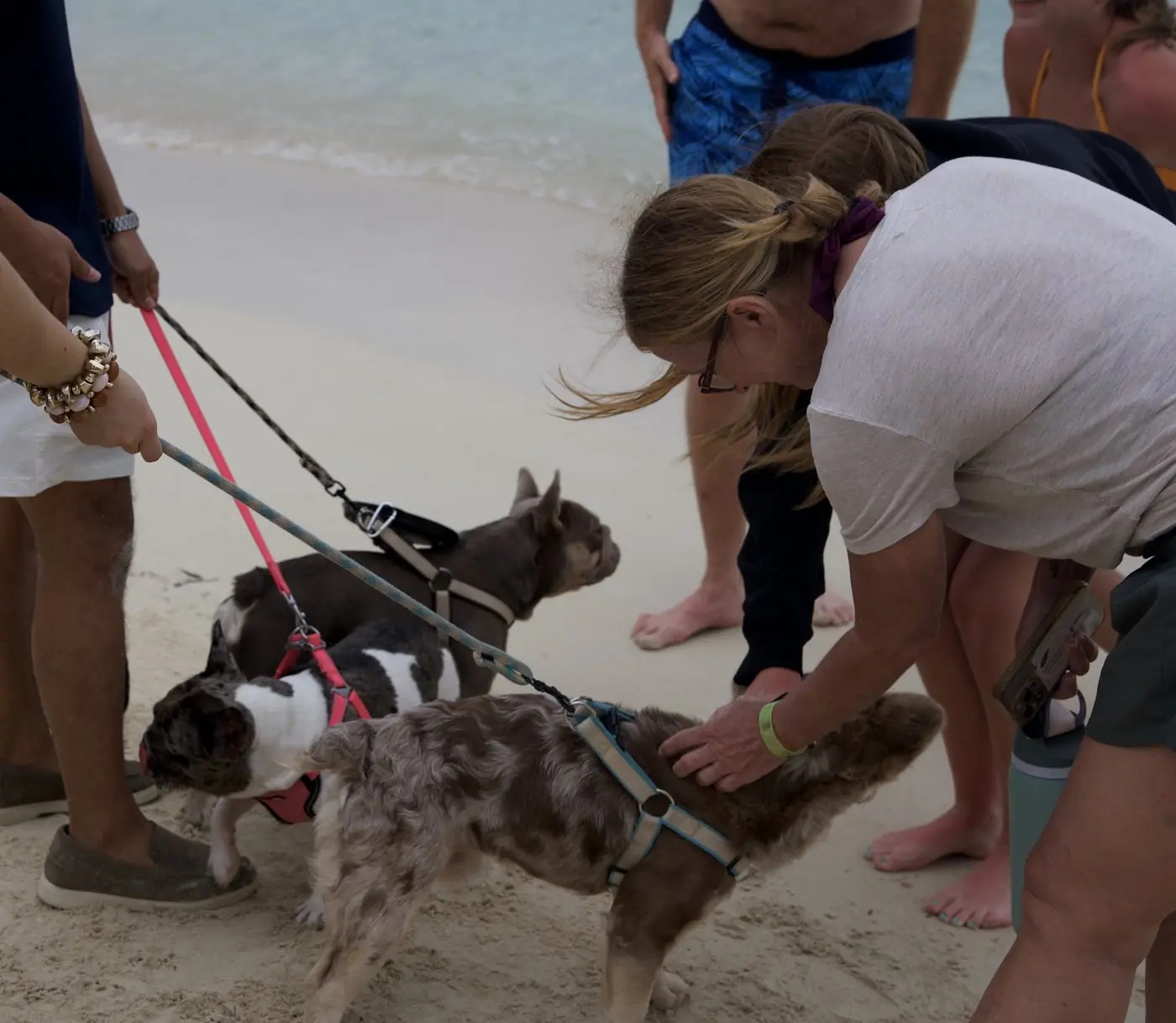 Una visitante acaricia a uno de los Frenchies en la playa